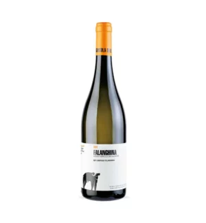 FALANGHINA IGP CAMPANIA 2022 SAN SALVATORE